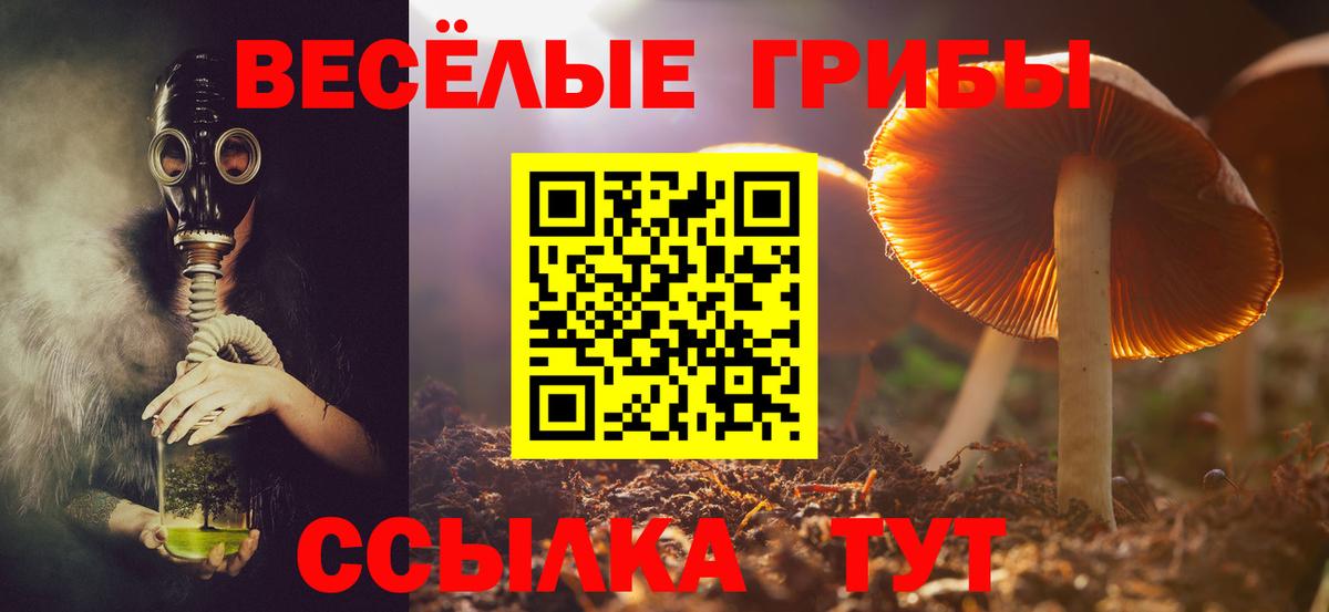 Сокол  Псилоцибиновые грибы GOLDEN TEACHER  Вход с VPN 